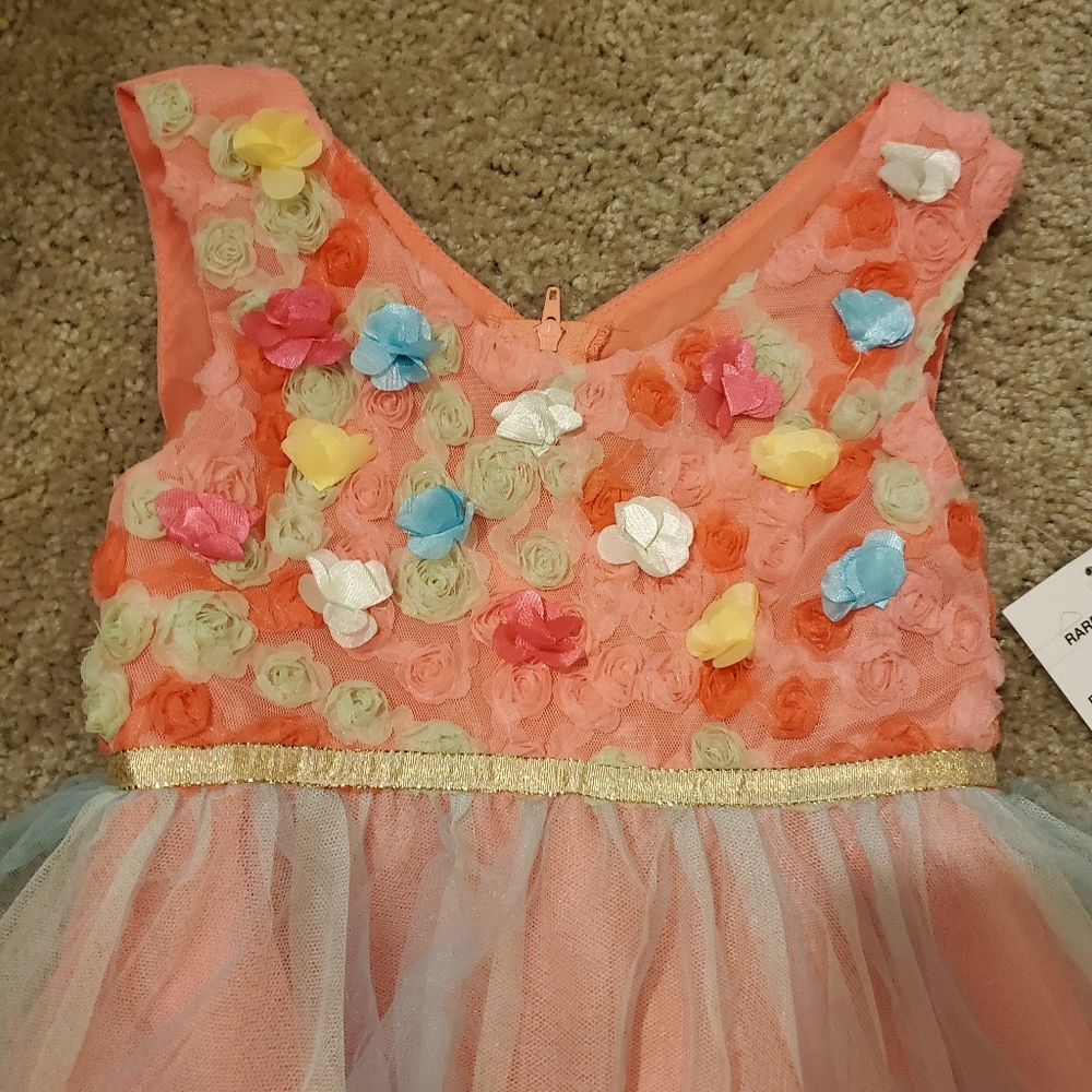 Rare Editions Dress Coral 3D Flower - Picture 2 of 4